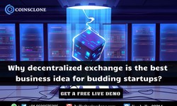 Why decentralized exchange is the best business idea for budding startups?
