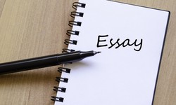 Get Term Paper Writing Assistance from Essay Workspace