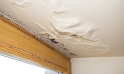 The Dangers of Water Damage and What You Can Do to Prevent It