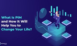 What is PIM and How it will help you to change your life?  