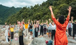 Why Should You Head To India To Learn Yoga?