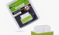 EcoChip Reviews (Updated-2022) — Is It Safe? Real Customer Review!