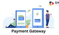 How to integrate Payment Gateway into Your Android or iOS Application?