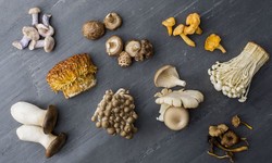 Sorts Of Mushroom Enhancements