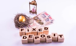 For a Secure Future, Consider These 5 Types of Fixed Deposit Schemes