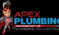 Searching for Plumbing Services?
