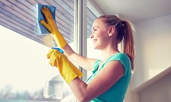 Window Cleaning - Tips To Make Your Windows Sparkle