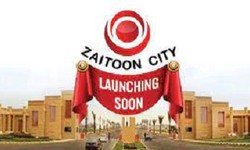 How to make profit by investing in the property of Zaitoon City Lahore