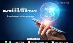 White label crypto exchange software  -  An ingenious way to start a crypto exchange