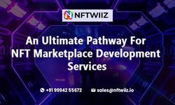 An Ultimate Pathway For NFT Marketplace Development Services