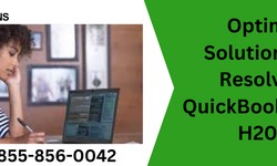 Optimal Solutions for Resolving QuickBooks Error H202