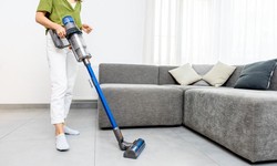 What is the best type of vacuum cleaner to buy?