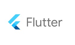 Why You Should Use Flutter to Build Your MVP ?