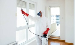How to Keep Your Home Safe from Pests