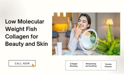 Low Molecular Weight Fish Collagen for Beauty and Skin