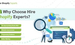 Do you need to Hire Shopify Experts?