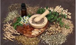 Natural Products and Traditional Medicine of the World’s Most Popular Herbal Medicines