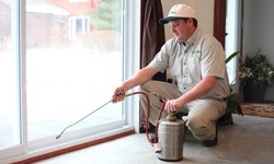 Pest Infestations - Pesticon on Pest Control in Mississauga