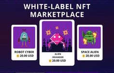 How Does White-label NFT Marketplace Serve As The Best Business Development Model?