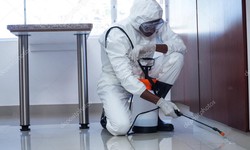 Pest Control Tips for Your Home: How to Keep your House Clean and Safe from Bugs