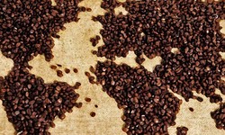 What’s The Different Between Gourmet Coffee And Your Average Coffee?