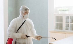 Pest Control Tips for Your Home - Advice on ways to keep your home free of pests and diseases.