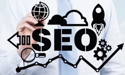 What is the recommendation for expert SEO services?