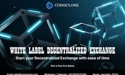 White label decentralized exchange - Start your DEX in a smart way