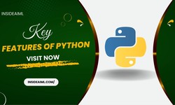The Most Essential Elements of Python, and How to Make Use of Them
