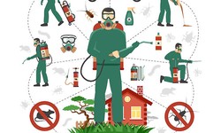 What are quality affordable pest control services and how can they be beneficial?