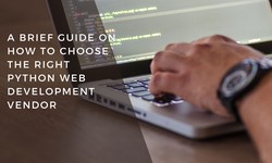 A Brief Guide On How To Choose The Right Python Web Development Vendor