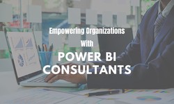 Empowering Organizations With Power BI Consultants