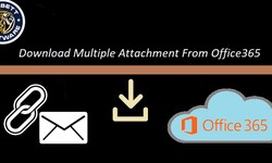 How to Extract Attachment from Office 365? Expert Solution
