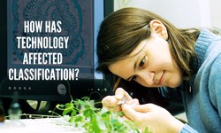 How has technology affected classification?