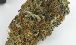 Peanut Butter Breath Strain Price and Review