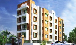 Commercial Property In Noida