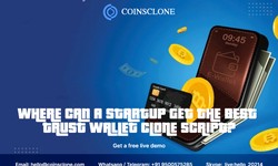 Where can a startup get the best Trust wallet clone script?