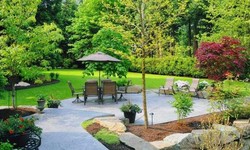 Why You Should Hire A Professional Landscaping Company