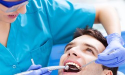 Looking For The Best Dentist Office Near You? Check Out Our Top Picks!