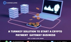 A turnkey solution to start a crypto payment gateway business