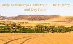 Guide to Bahariya Oasis Tour – The History and Key Facts