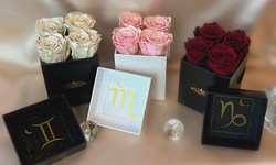 All You Need To Know About Rose Boxes