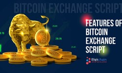 Remarkable Features Offered by Bitcoin Exchange Script Development