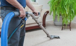 Why Does Steam Cleaning Remain The Most Effective Way To Clean Carpet?