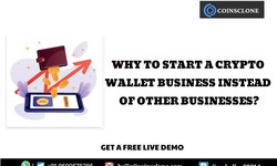 Why to start a crypto wallet business instead of other businesses?