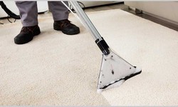 7 Reasons Why Professionals Cleaning Carpet Is The Best