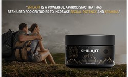How Shilajit Benefits The Body, How It Affects The Gastric Tract