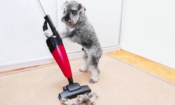 What vacuum cleaner is best for pet hair?