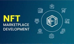 NFT Marketplace Development Services - The Revenue-Generating Business Model