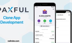 Paxful Clone App – How Can You Design an App like Paxful Platform?